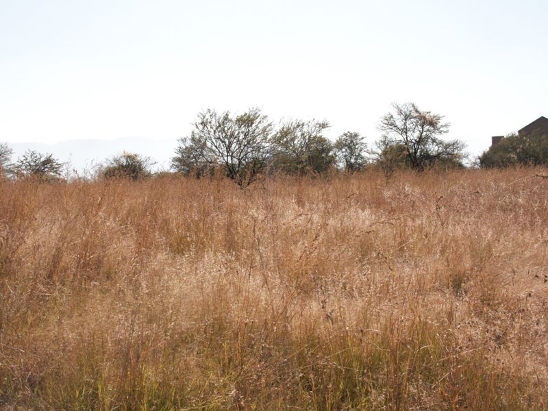 Experience Serence Estate Living at La Camargue Private Country Estate - Photo 10