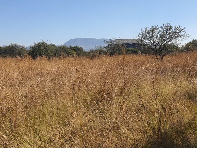 Experience Serence Estate Living at La Camargue Private Country Estate - Photo 7