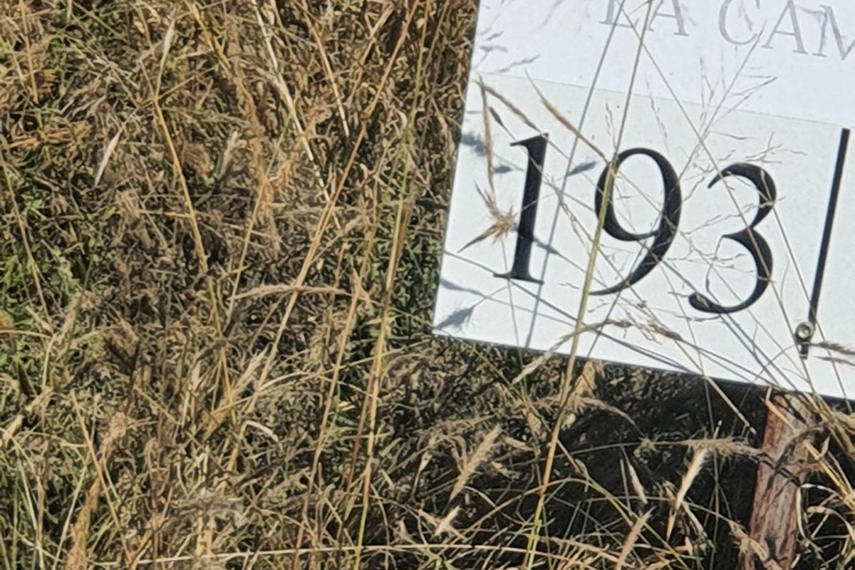 Live Wild, Live Free, Welcome to La Camargue Private Country Estate - Photo 5