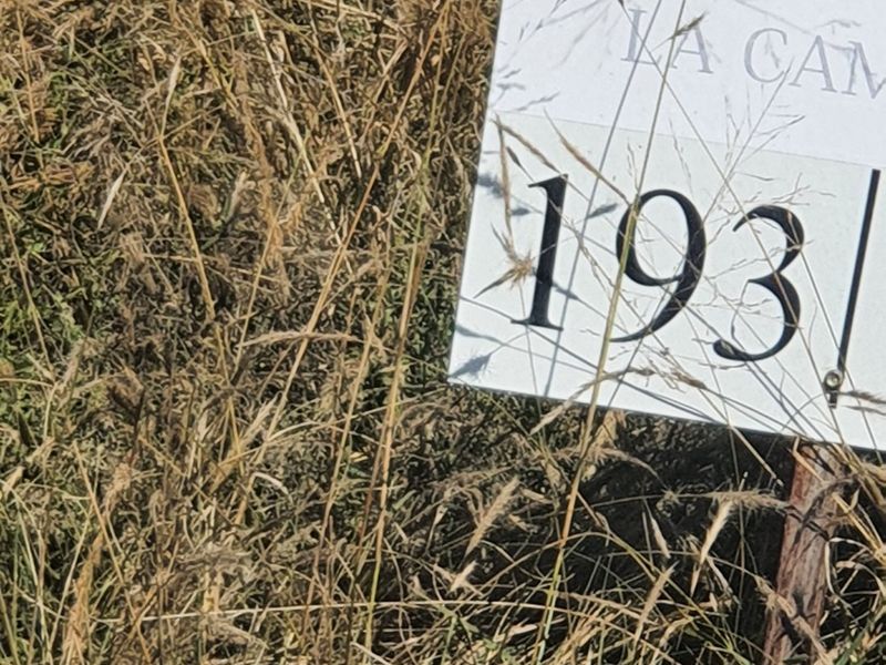 Live Wild, Live Free, Welcome to La Camargue Private Country Estate - Photo 5