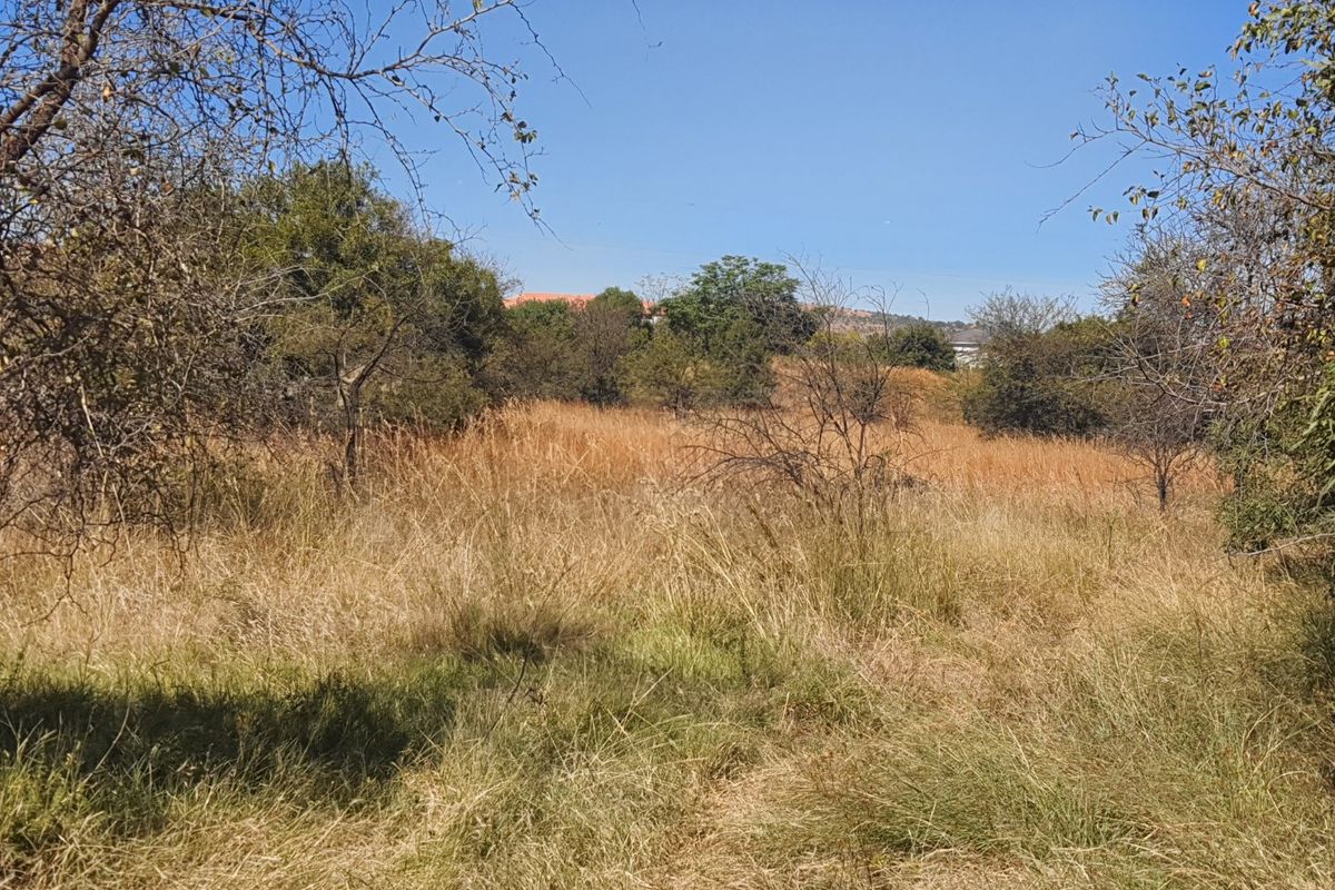 Live Wild, Live Free, Welcome to La Camargue Private Country Estate - Photo 4