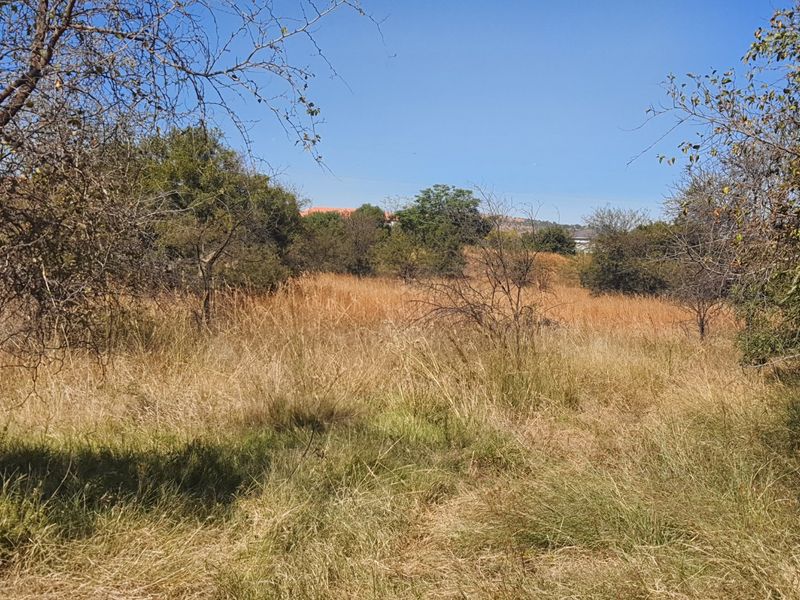 Live Wild, Live Free, Welcome to La Camargue Private Country Estate - Photo 4