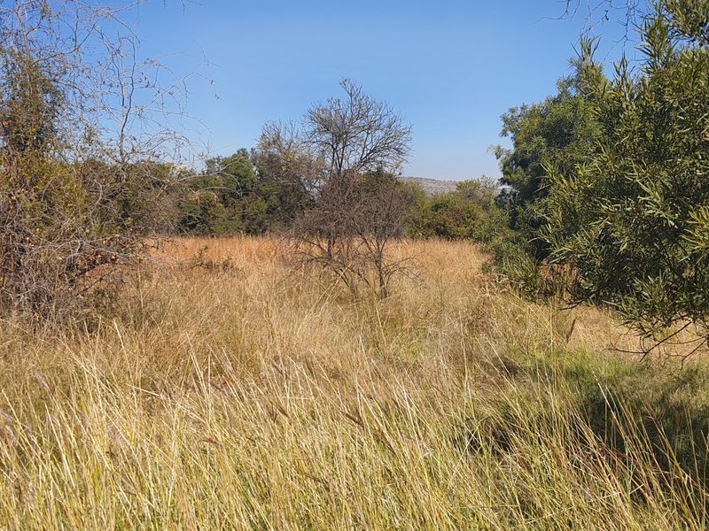Live Wild, Live Free, Welcome to La Camargue Private Country Estate - Photo 7
