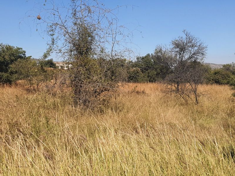 Live Wild, Live Free, Welcome to La Camargue Private Country Estate - Photo 6