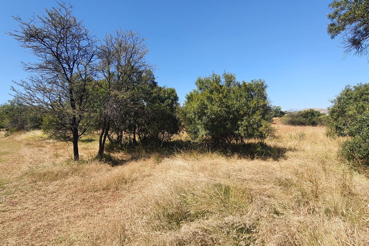 Live Wild, Live Free, Welcome to La Camargue Private Country Estate - Photo 3