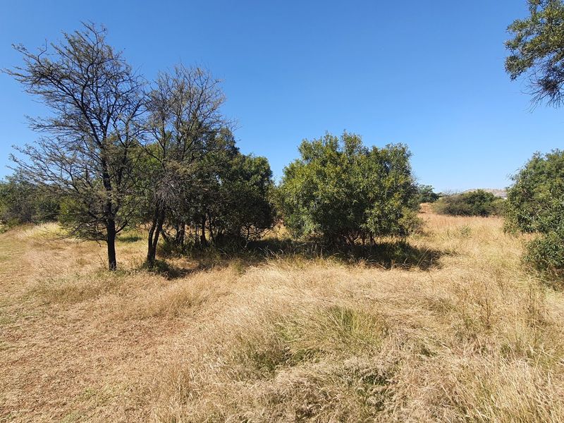 Live Wild, Live Free, Welcome to La Camargue Private Country Estate - Photo 3