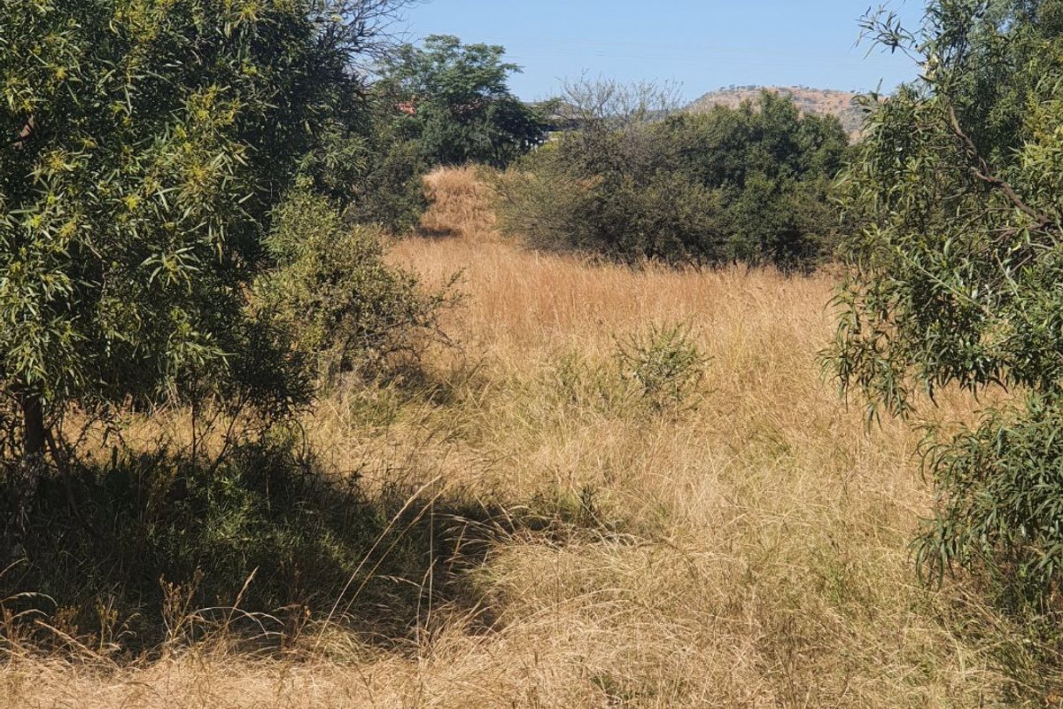 Live Wild, Live Free, Welcome to La Camargue Private Country Estate - Photo 2