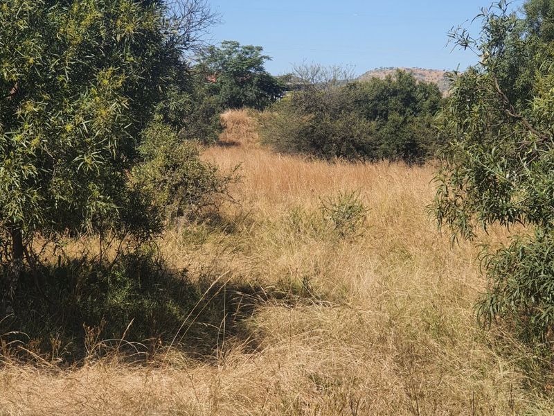 Live Wild, Live Free, Welcome to La Camargue Private Country Estate - Photo 2