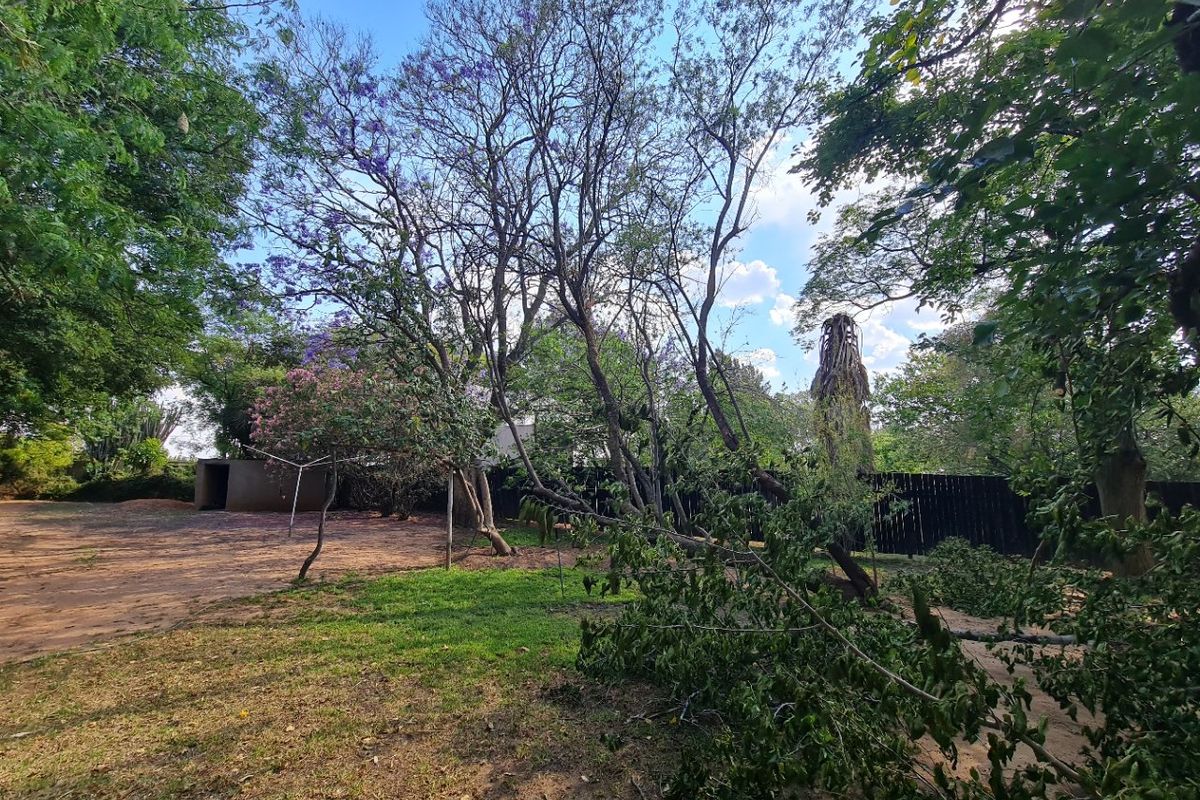 LAND FOR LOW COSTING UNITS AVAILABLE  - Photo 4