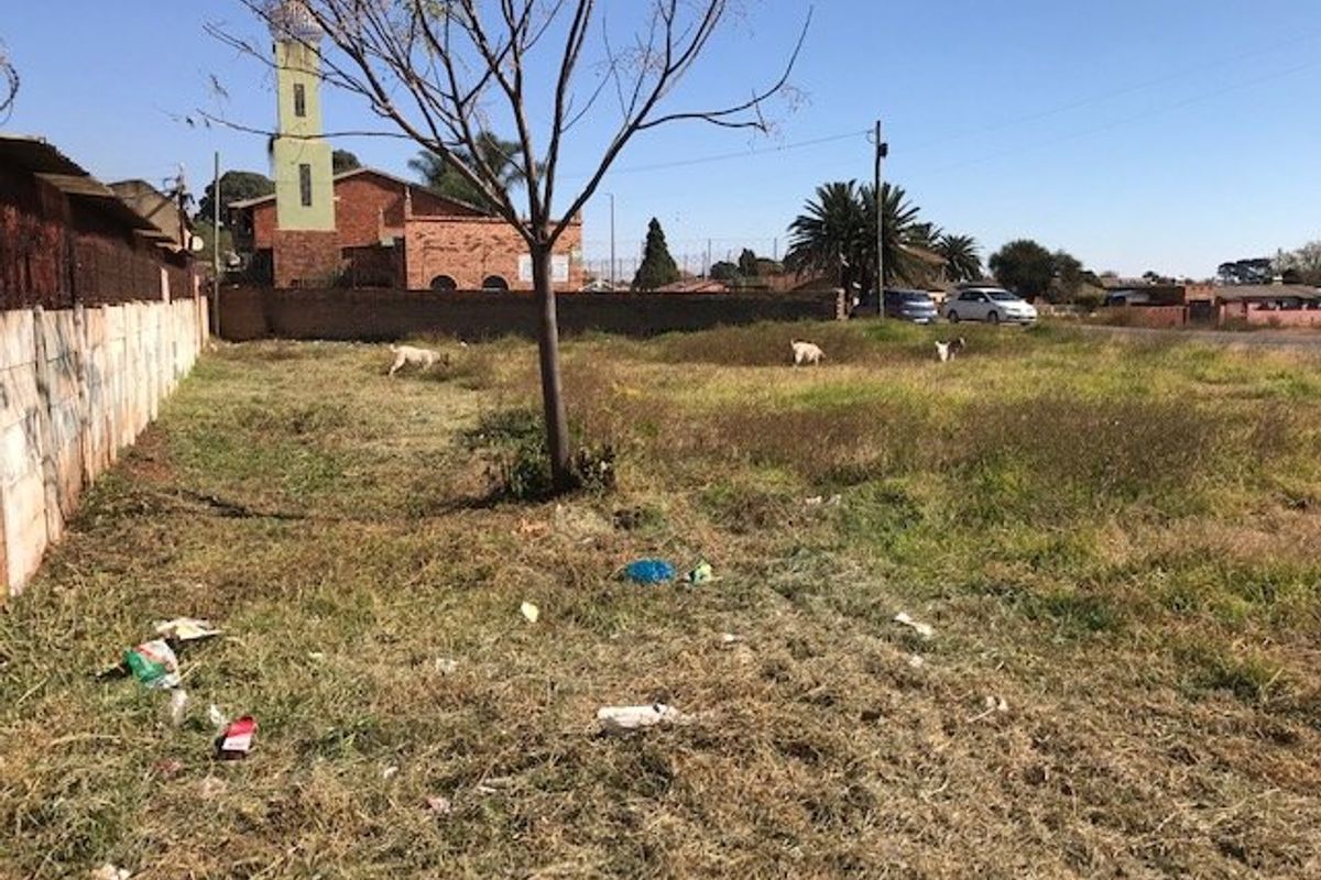 Budget friendly land opportunity  - Photo 2