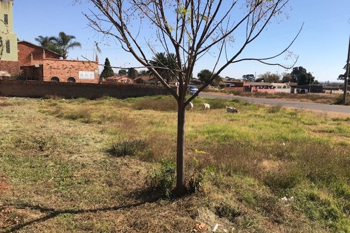 Budget friendly land opportunity  - Photo 5