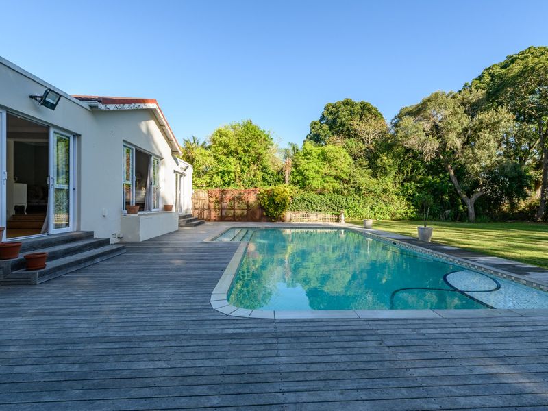 SUPERB  FAMILY HOME IN UPPER WALMER - Photo 4