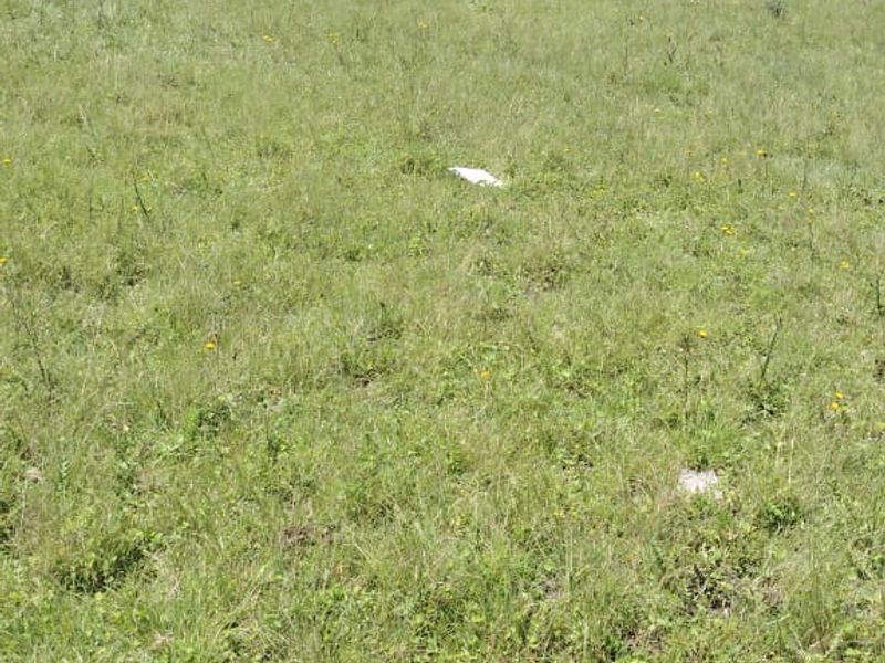 Vacant Land for Sale Maclean Town - Photo 10