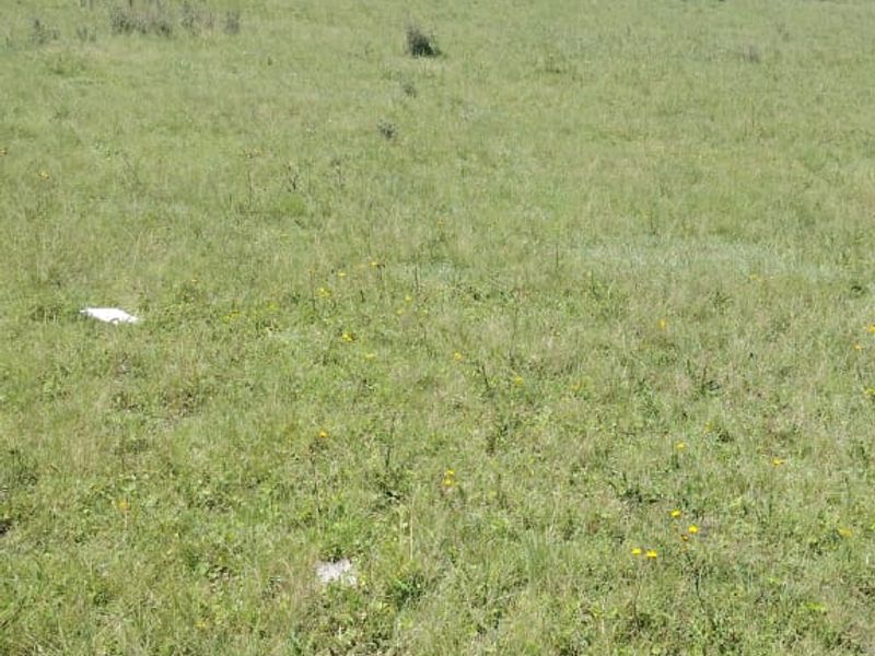 Vacant Land for Sale Maclean Town - Photo 7