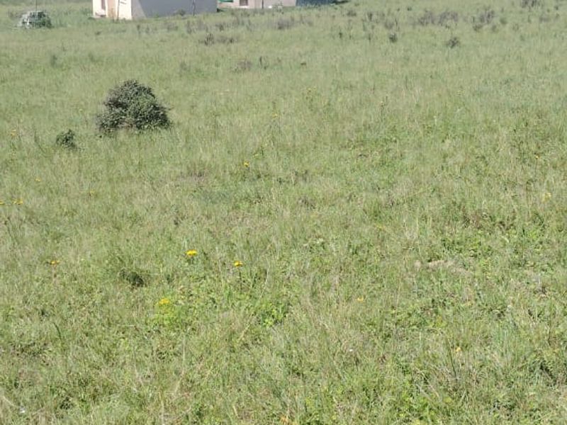 Vacant Land for Sale Maclean Town - Photo 8