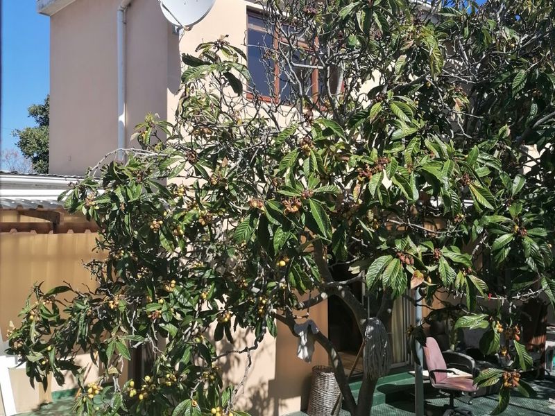 6 Bed House in Rondebosch East for Sale - Photo 3