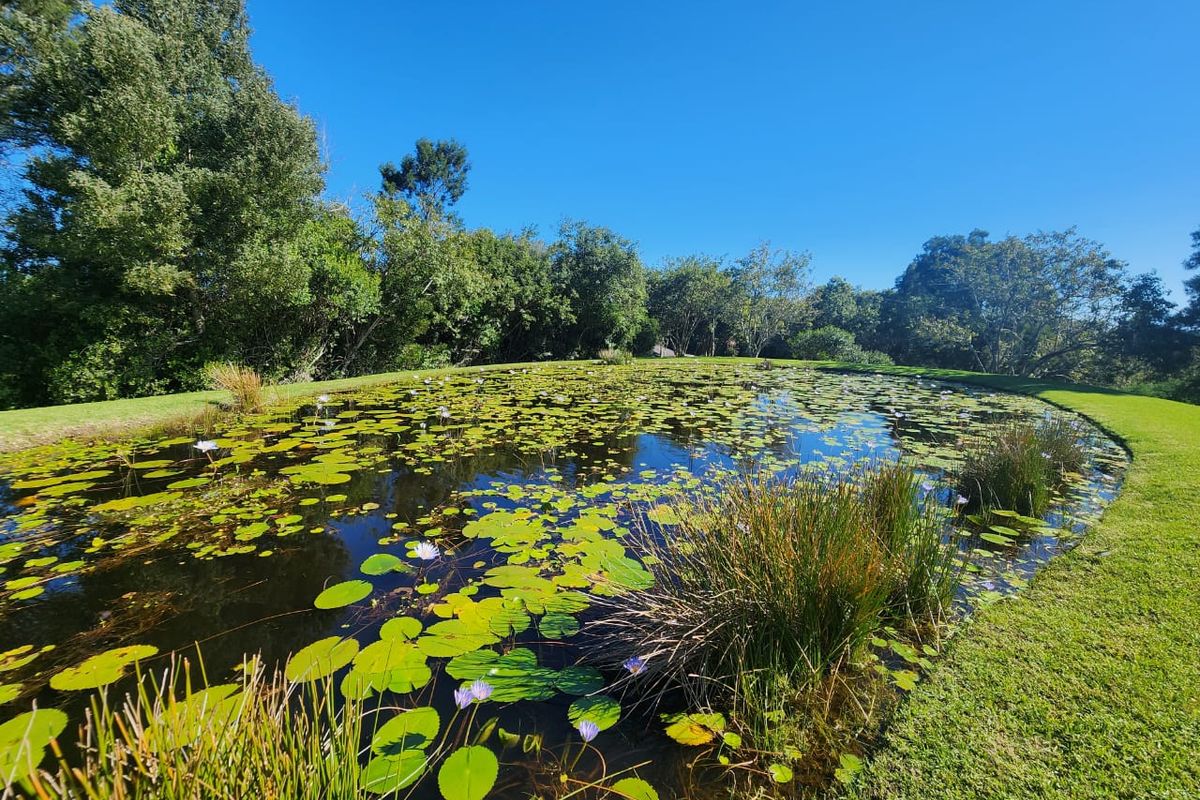 Scenic 3-Hectare Stand in a lush green landscape in secure Estate - Photo 4