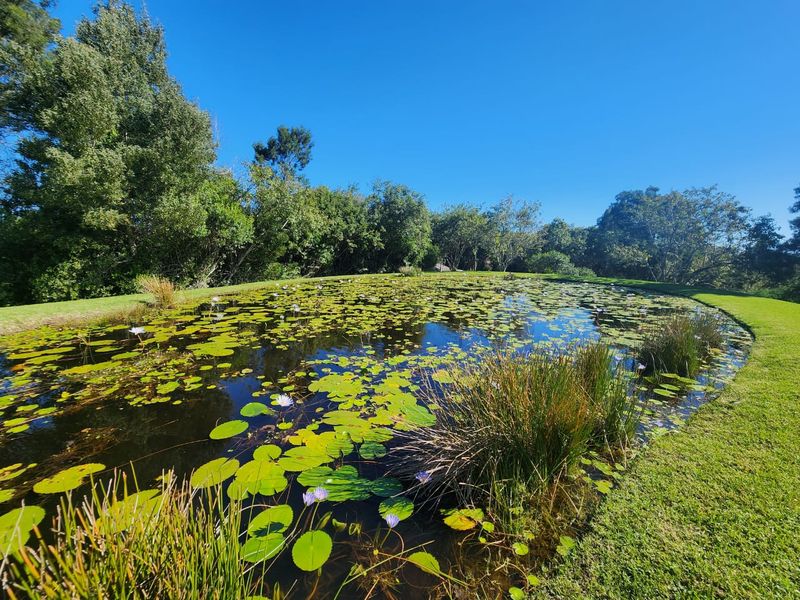 Scenic 3-Hectare Stand in a lush green landscape in secure Estate - Photo 4