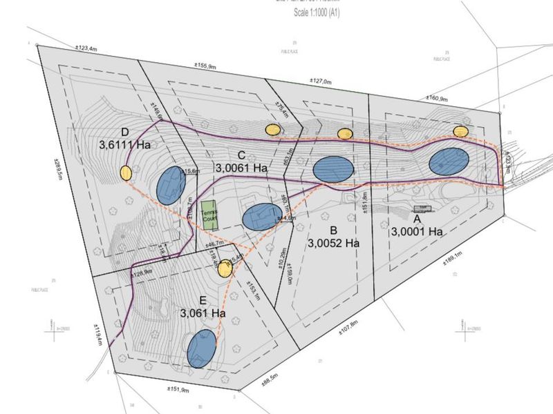 Scenic 3-Hectare Stand in a lush green landscape in secure Estate - Photo 9