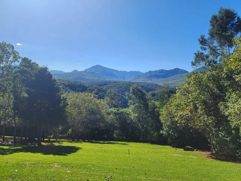 Scenic 3-Hectare Stand in a lush green landscape in secure Estate - Photo 3