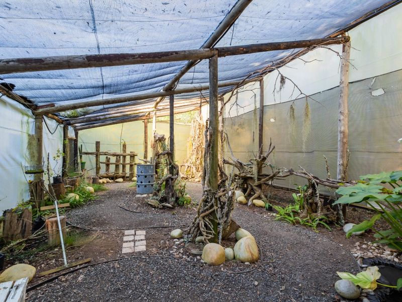 A Small Farm & Home in the Heart of Tsitsikamma - Photo 9