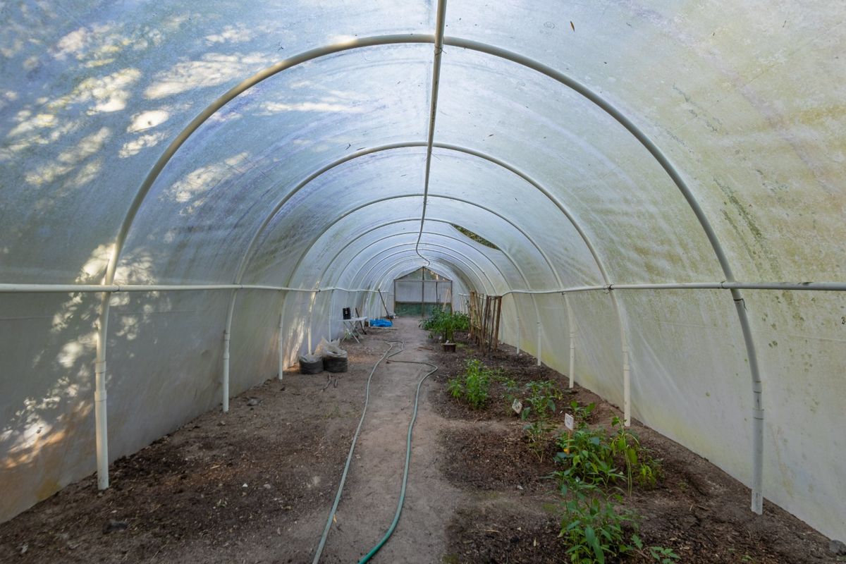 A Small Farm & Home in the Heart of Tsitsikamma - Photo 3