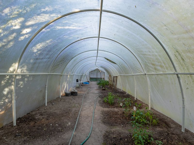 A Small Farm & Home in the Heart of Tsitsikamma - Photo 3