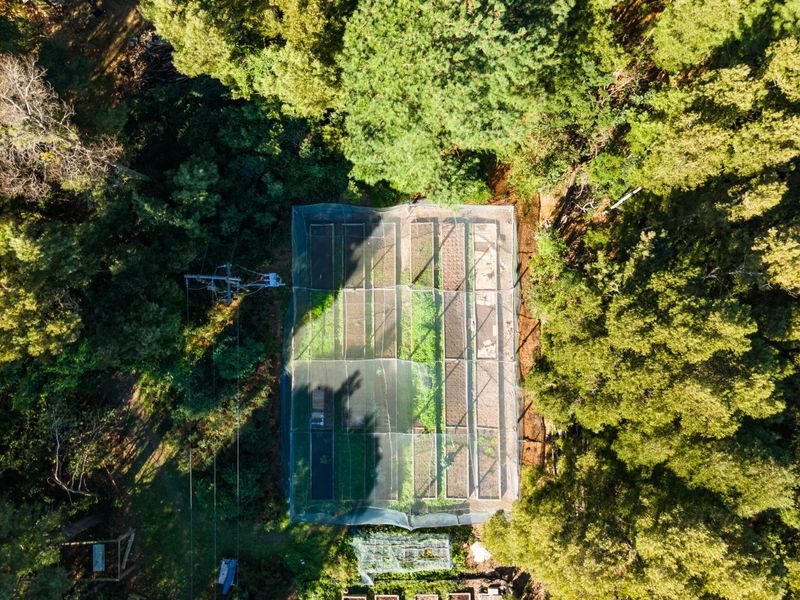 A Small Farm & Home in the Heart of Tsitsikamma - Photo 10