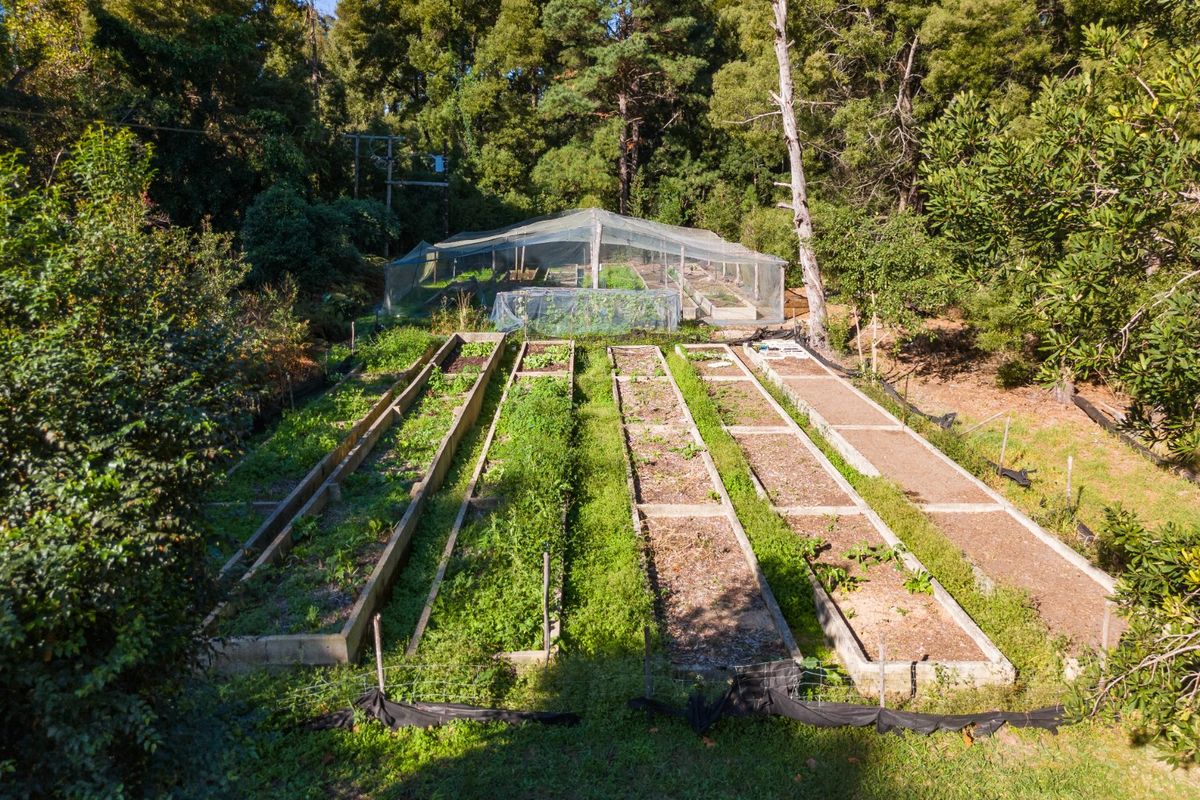 A Small Farm & Home in the Heart of Tsitsikamma - Photo 4