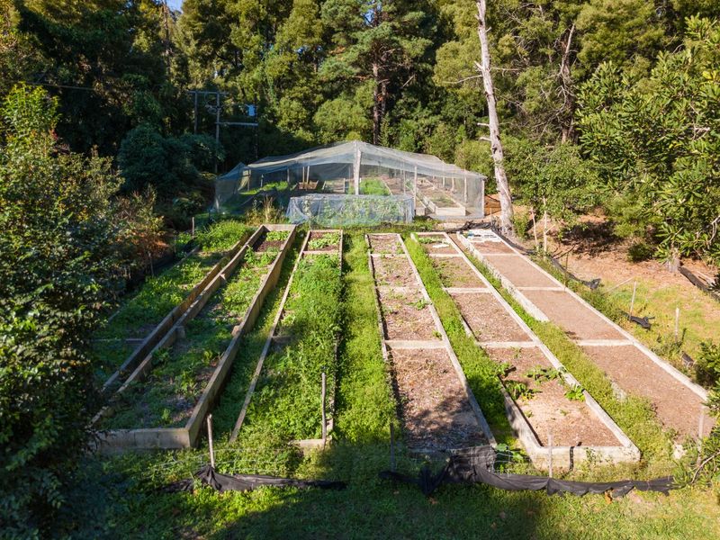 A Small Farm & Home in the Heart of Tsitsikamma - Photo 4