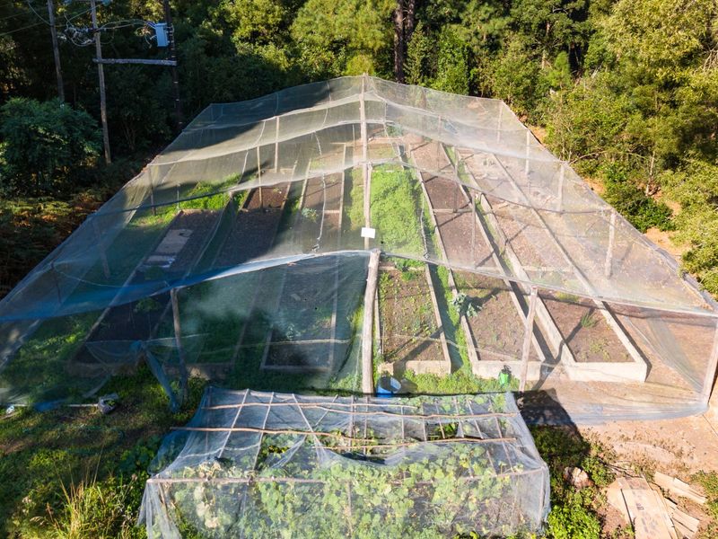 A Small Farm & Home in the Heart of Tsitsikamma - Photo 8