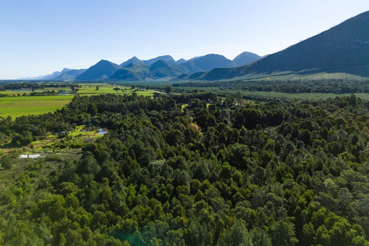 A Small Farm & Home in the Heart of Tsitsikamma - Photo 2