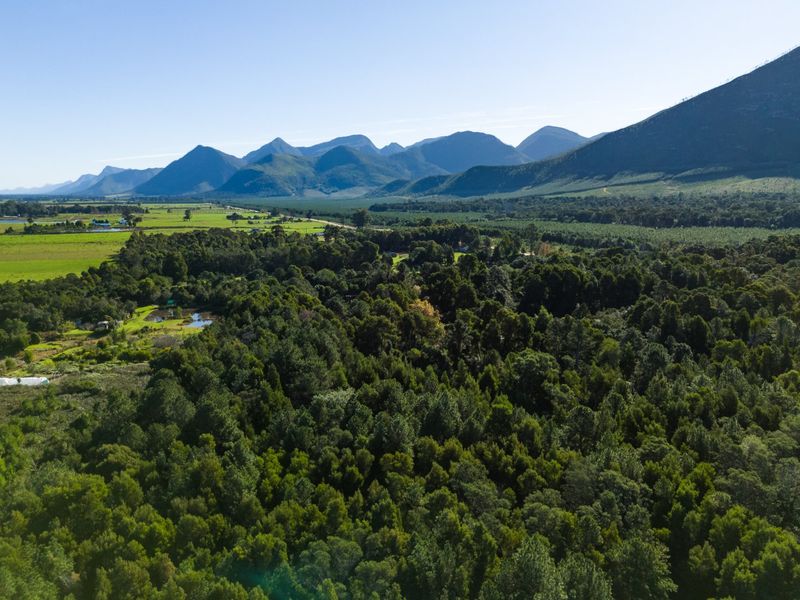 A Small Farm & Home in the Heart of Tsitsikamma - Photo 2