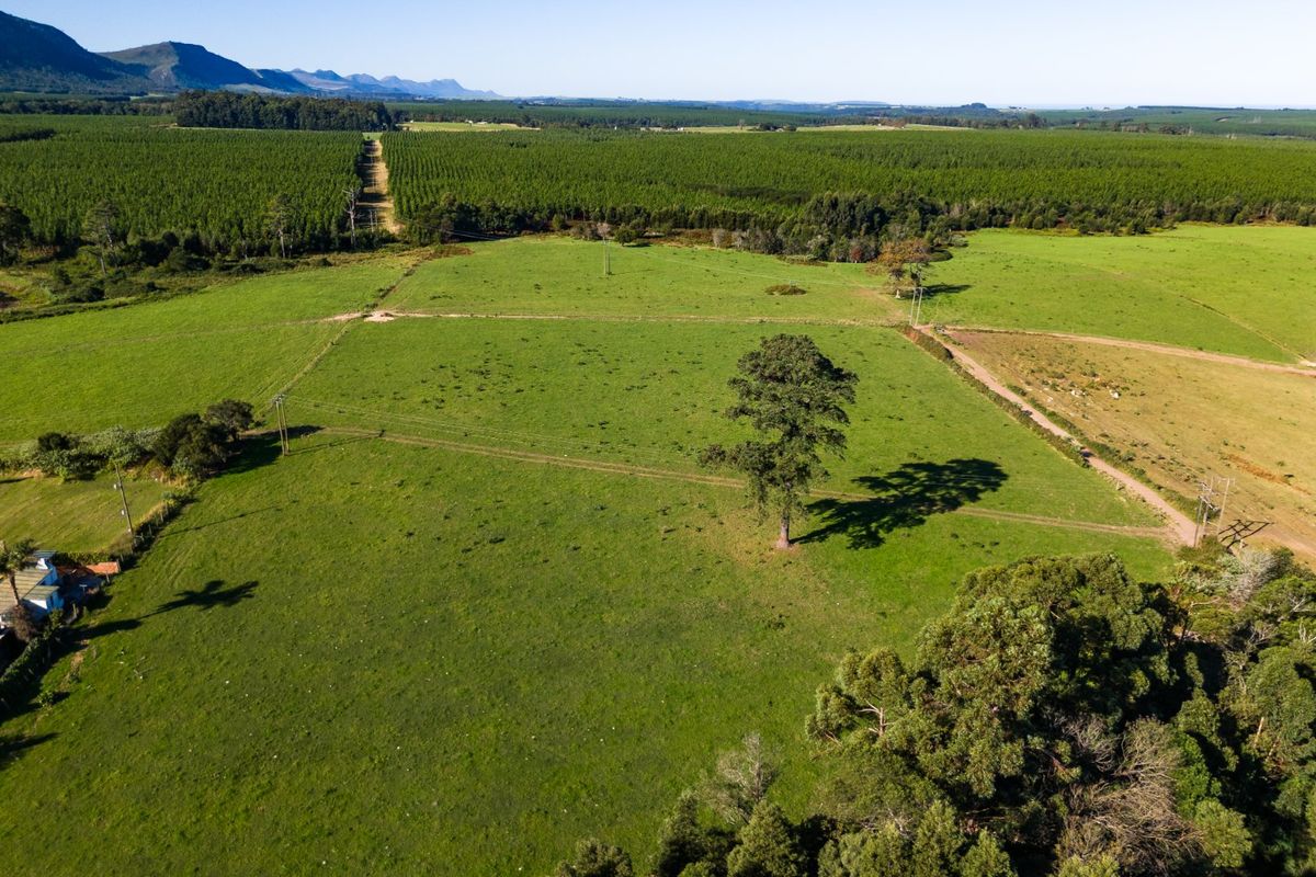 A Small Farm & Home in the Heart of Tsitsikamma - Photo 5