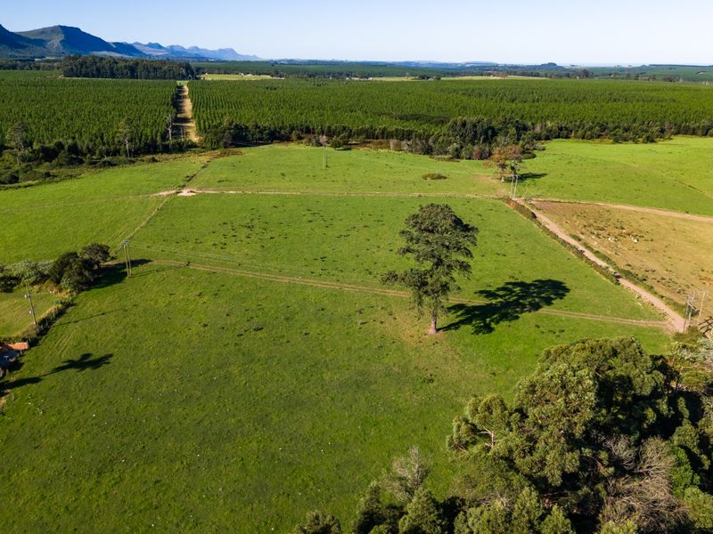 A Small Farm & Home in the Heart of Tsitsikamma - Photo 5