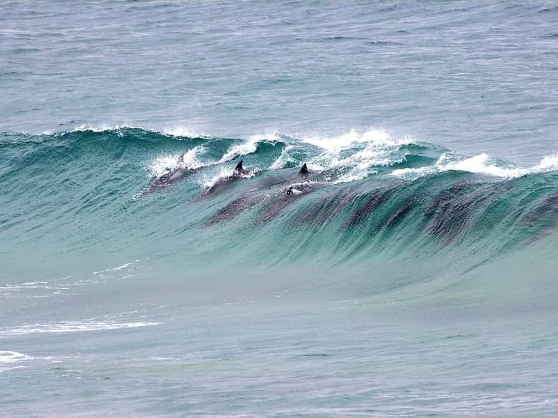 Build a Bespoke Beachside Home in Dana Bay - Photo 10