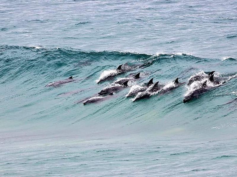 Build a Bespoke Beachside Home in Dana Bay - Photo 9