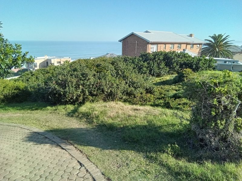 Build a Bespoke Beachside Home in Dana Bay - Photo 4