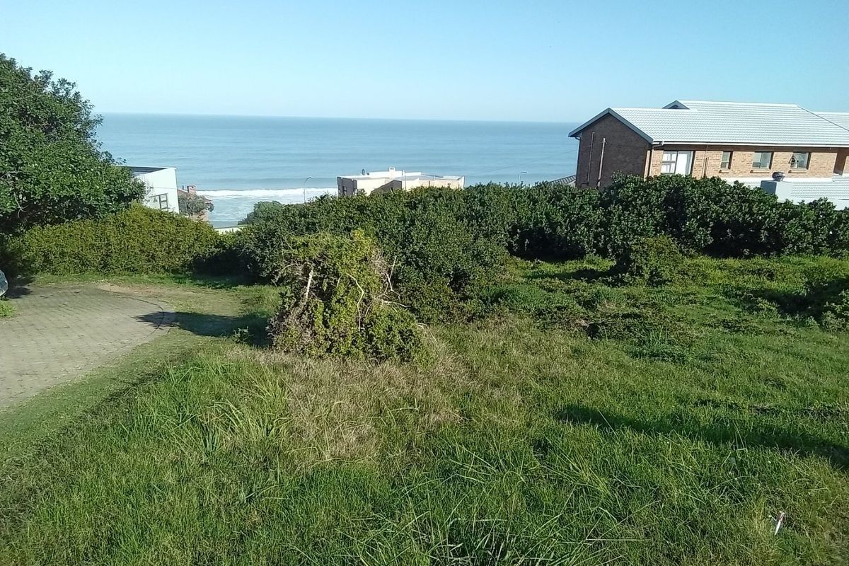 A scenic view of the ocean from a vacant residential plot, featuring established greenery and a paved driveway area.
