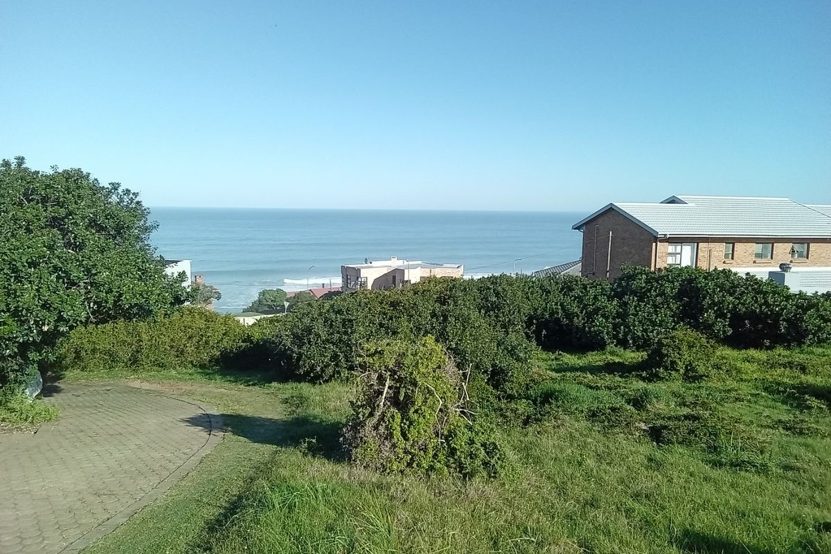 A scenic view of the ocean from the vacant residential property, featuring established coastal vegetation and a paved driveway.