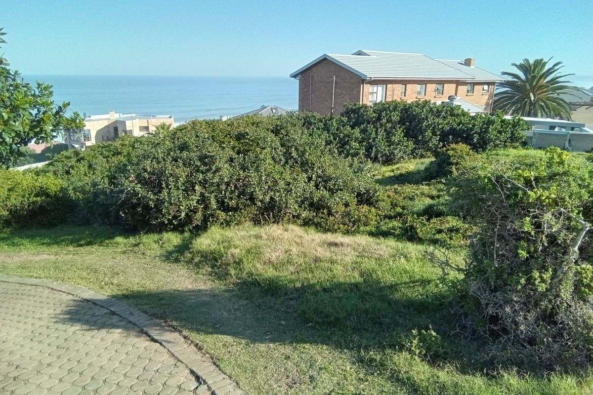 A scenic view of the coastal landscape featuring a paved walkway and surrounding greenery with residential buildings in the background.