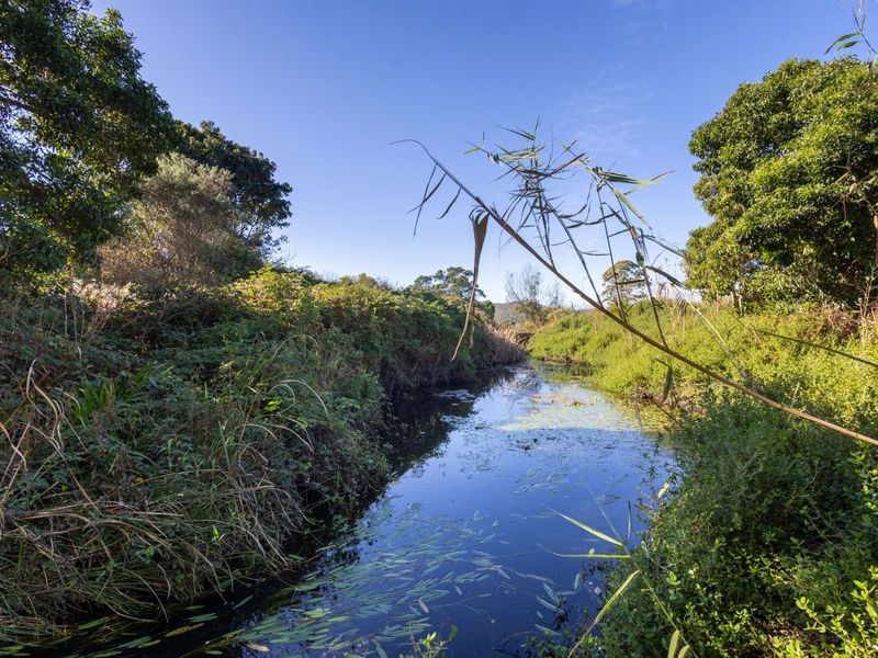 Prime Countryside Living - Photo 7