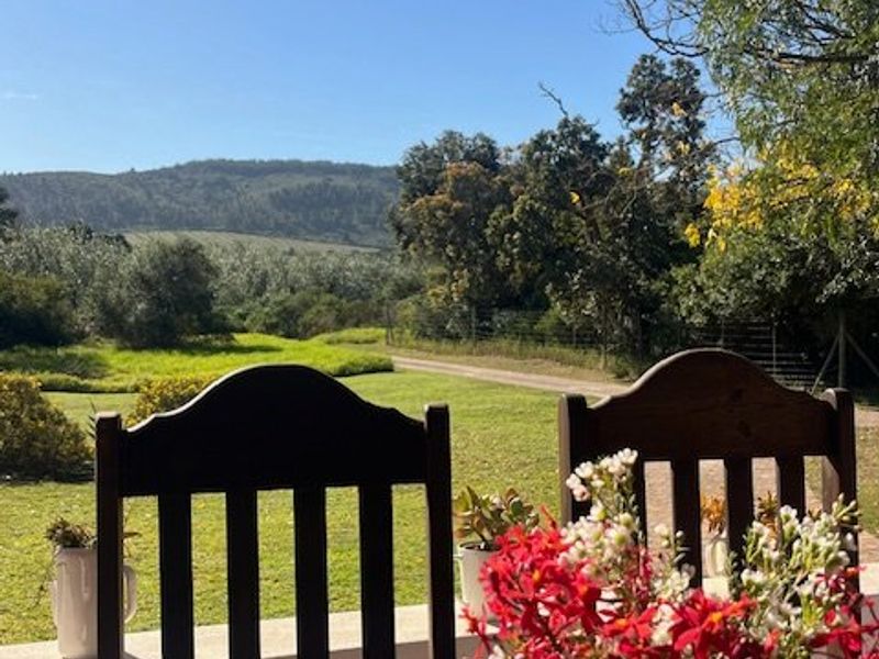 Prime Countryside Living - Photo 9