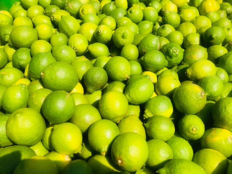 Lemon Farm, Vacant Land, Centrally located  - Photo 7