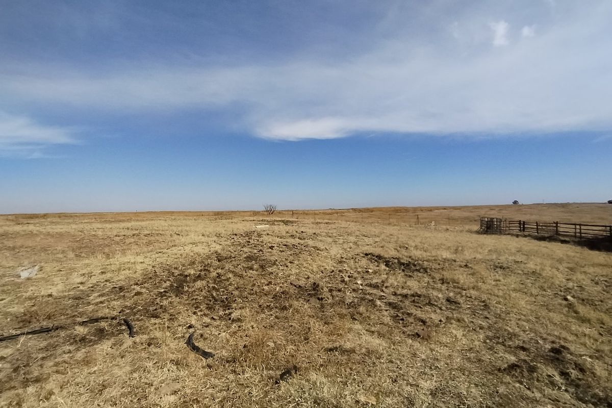 77 ha Farm For Sale in Evander - Photo 5