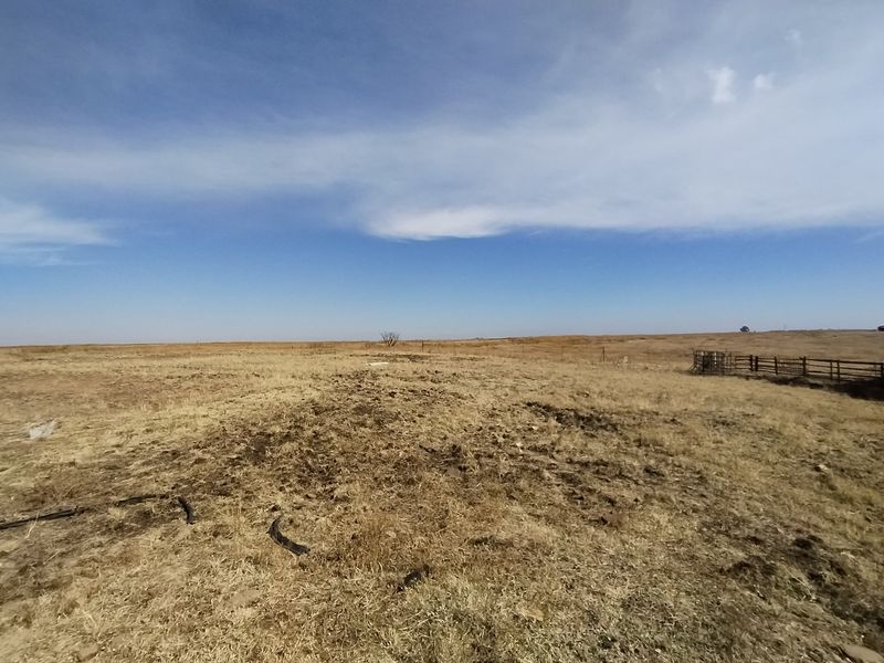 77 ha Farm For Sale in Evander - Photo 5