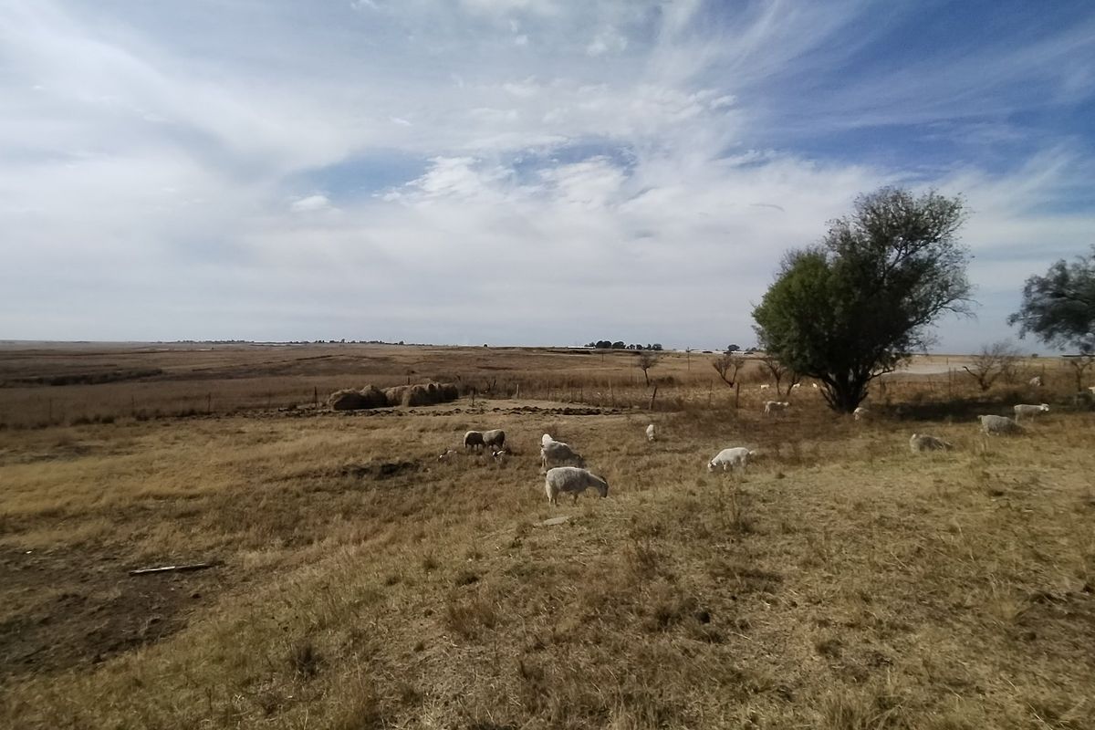 77 ha Farm For Sale in Evander - Photo 4