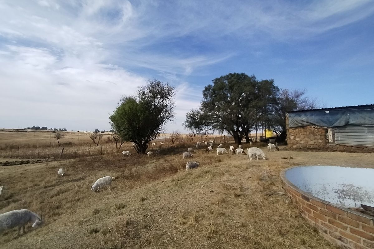 77 ha Farm For Sale in Evander - Photo 2