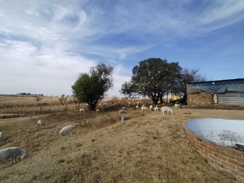 77 ha Farm For Sale in Evander - Photo 2