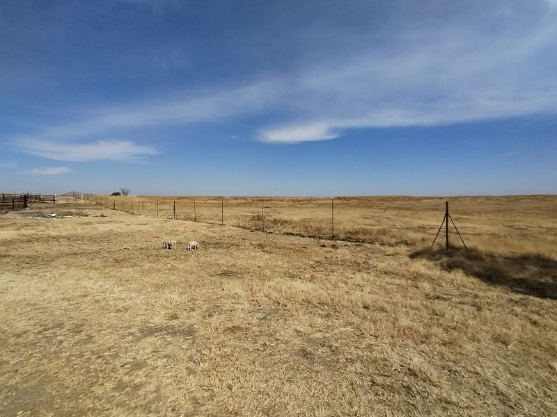 77 ha Farm For Sale in Evander - Photo 10